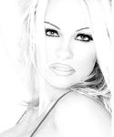 Pamela Anderson tits and pussy photo collection