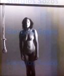 Lady Gaga BDSM nude photos