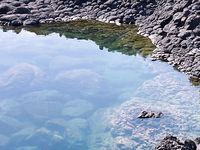 Dakota Johnson showing her breasts and bush