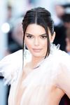 Kendall Jenner naked instagram and see thru photos