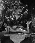 Kendall Jenner nude and sexy lingerie moments