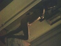 Lake Bell showing off nude boobs and pussy