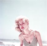 Janet Leigh nude - retro photo