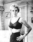 Janet Leigh nude - retro photo