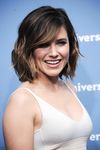 Sophia Bush sexy