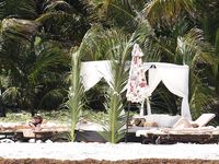 Dakota Johnson on the beach voyeur