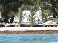 Dakota Johnson on the beach voyeur