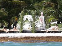 Dakota Johnson on the beach voyeur