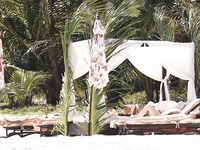 Dakota Johnson on the beach voyeur