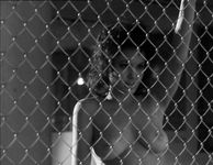 Angelina Jolie topless