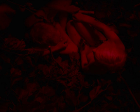 Roosa Soderholm - He ovat paenneet (2014)