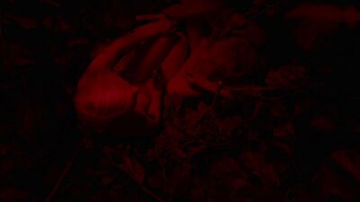 Roosa Soderholm - He ovat paenneet (2014)
