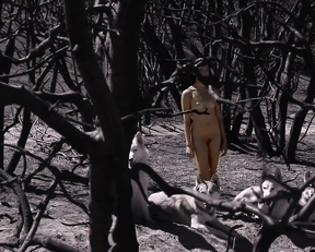 Nicole Branch nude - Gravitate (2014)