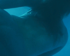 Kaitlyn Dever, Diana Silvers - Booksmart (2019)