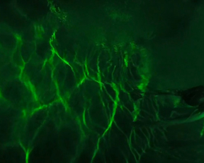 Sara West, Samara Weaving - Bad Girl (2016)