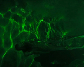 Sara West, Samara Weaving - Bad Girl (2016)