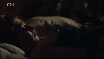 Vica Kerekes, Jenovefa Bokova - Deckname Holec (2016)