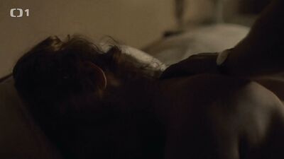 Vica Kerekes, Jenovefa Bokova - Deckname Holec (2016)