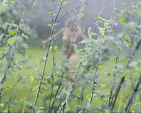 Linda Silverstone nude - Another Day (2013)