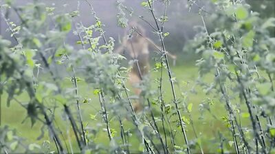 Linda Silverstone nude - Another Day (2013)