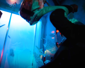 Stephanie Cleough naked - Altered Carbon s01e03 (2018)