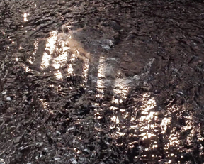 Nicole Kidman – Billy Bathgate (1991)