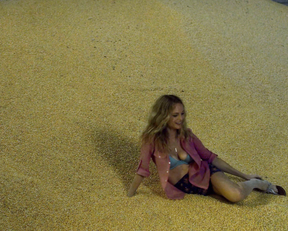 Heather Graham cleavage – At Any Price (2012)