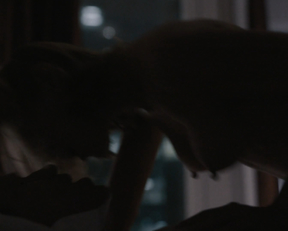 Louisa Krause sex scene - The Girlfriend Experience s02e11 (2017)