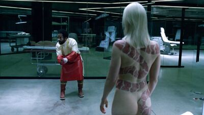 Ingrid Bolso Berdal nude – Westworld s01e10 (2016)