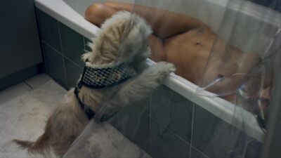 Viva Bianca, Burnetta Hampson – X (2011)