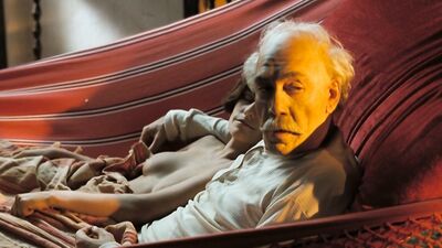 Marcela Mar nude – Love in the Time of Cholera (2007)