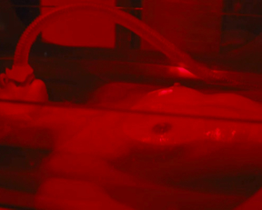 Carla Gugino, Abbey Lee - Elizabeth Harvest (2018)