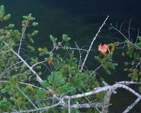 Kimberley Warnat, Mayko Nguyen – Going the Distance (2004)