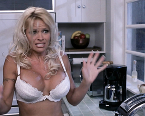 Pamela Anderson – Scary Movie 3 (2003)