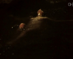 Mia Sara – Black Day Blue Night (1995)