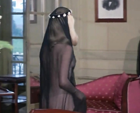 Catherine Deneuve nude - Belle De Jour