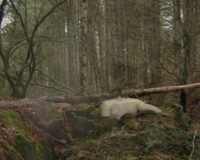 Talitha Luke-Eardley nude - Wrong Turn 6