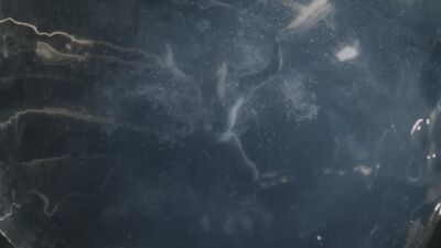 Jennifer Lawrence naked - Passengers