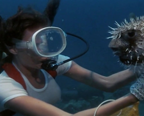 Jacqueline Bisset naked - The Deep