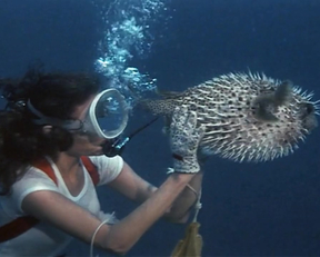 Jacqueline Bisset naked - The Deep