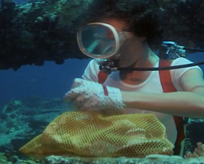 Jacqueline Bisset naked - The Deep