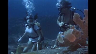 Jacqueline Bisset naked - The Deep