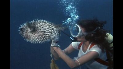 Jacqueline Bisset naked - The Deep