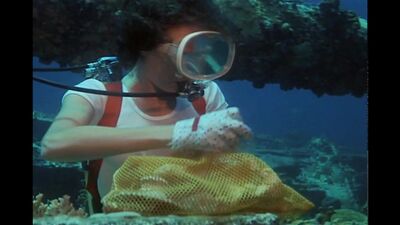 Jacqueline Bisset naked - The Deep