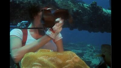 Jacqueline Bisset naked - The Deep