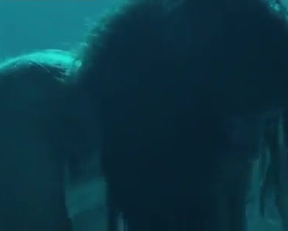 Anjela Nedyalkova nude - The Paradise Suite