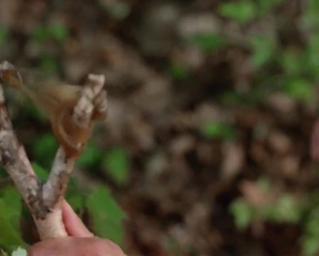 Kirsten Baker nude - Friday The 13th