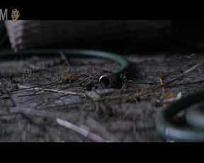 Sarah Gadon nude - Hosing Down