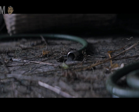 Sarah Gadon nude - Hosing Down