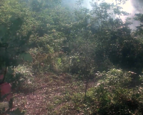 I Don't Ragret Seeing Julia Louis-Dreyfus Half Naked In "Troll" - Film nackt